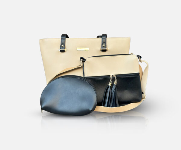 Classic 3 in 1 bag