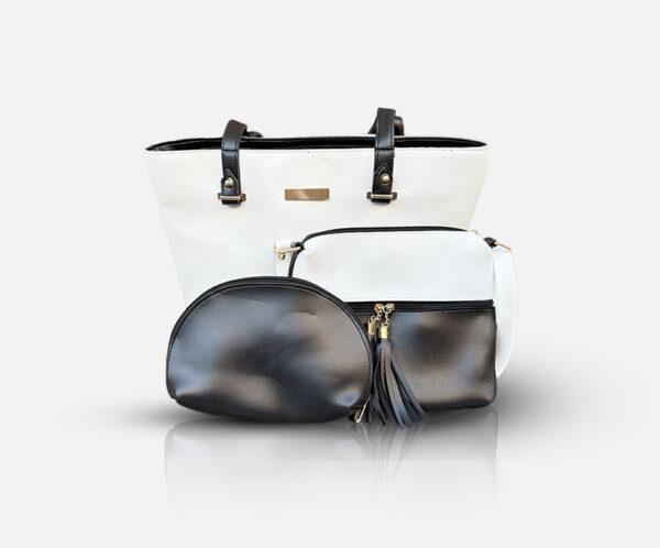 Classic 3-in-1 bag